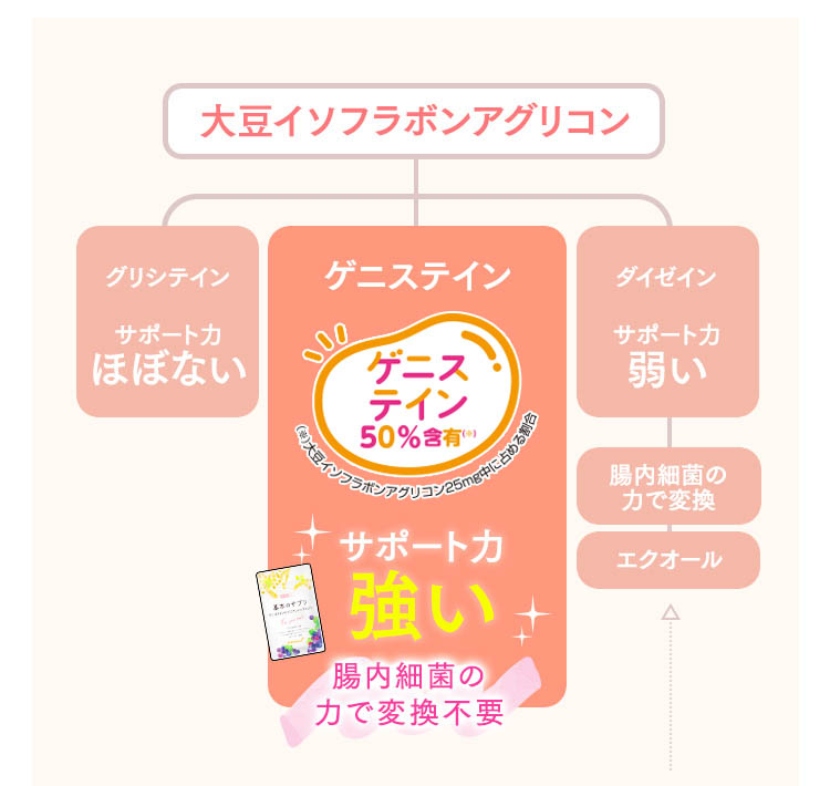 大豆イソフラボンアグリコン ゲニステイン サポート力強い 腸内細菌の力で変換不要