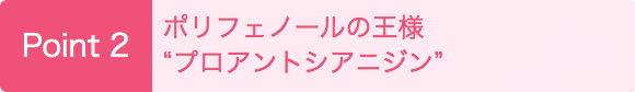Point 2　ポリフェノールの王様”プロアントシアニン”