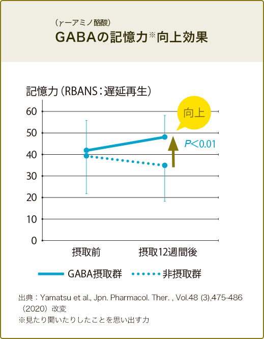 GABAの記憶力※向上効果