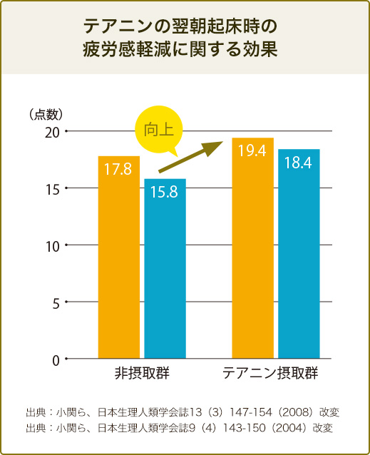 テアニンの翌朝起床時の疲労感軽減に関する効果