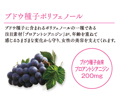 キッコーマンのオフィシャルオンラインショップ「健康こだわり便