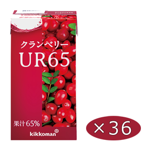 クランベリーUR65　125ml紙パック×18本×2