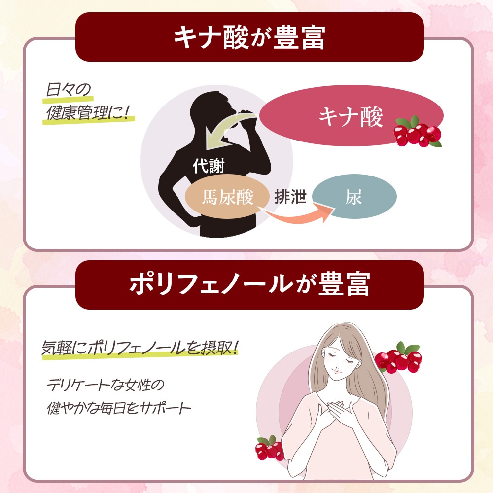 クランベリーUR100　500ml