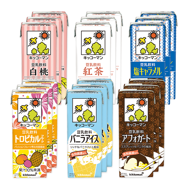 ④夏のひんやりアイス豆乳セット【20%OFF】