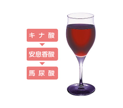 新 クランベリーURお試し3種セット(送料当社負担)