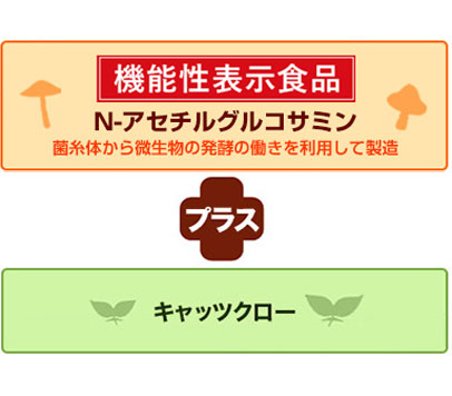 からだ想い 発酵のちから N-アセチルグルコサミン