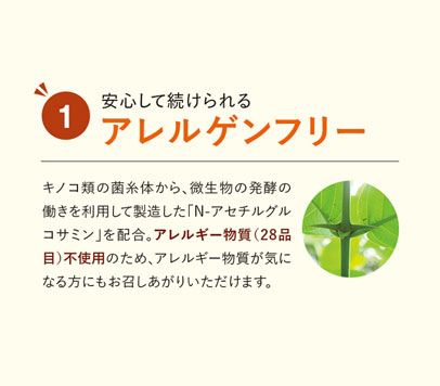 からだ想い 発酵のちから N-アセチルグルコサミン