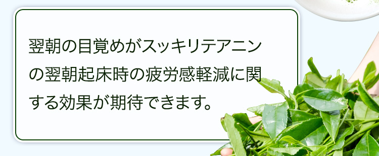 翌朝の目覚めがスッキリテアニンの翌朝起床時の疲労感軽減に関する効果が期待できます。