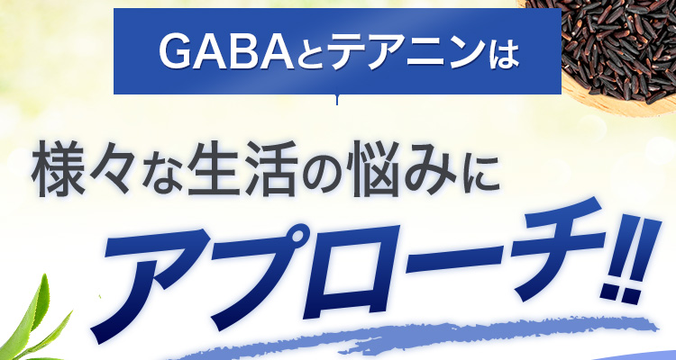 GABAとテアニンは様々な生活の悩みにアプローチ!!