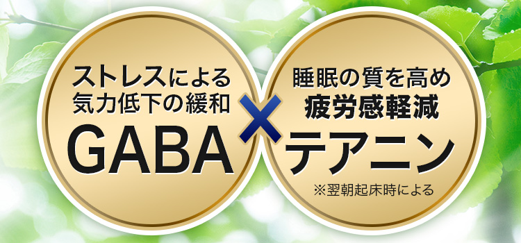 ストレスによる気力低下の緩和GABA × 睡眠の質を高め疲労感軽減テアニン ※翌朝起床時による