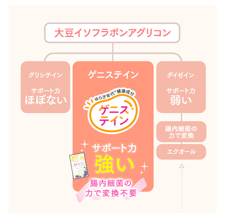 大豆イソフラボンアグリコン ゲニステイン サポート力強い 腸内細菌の力で変換不要