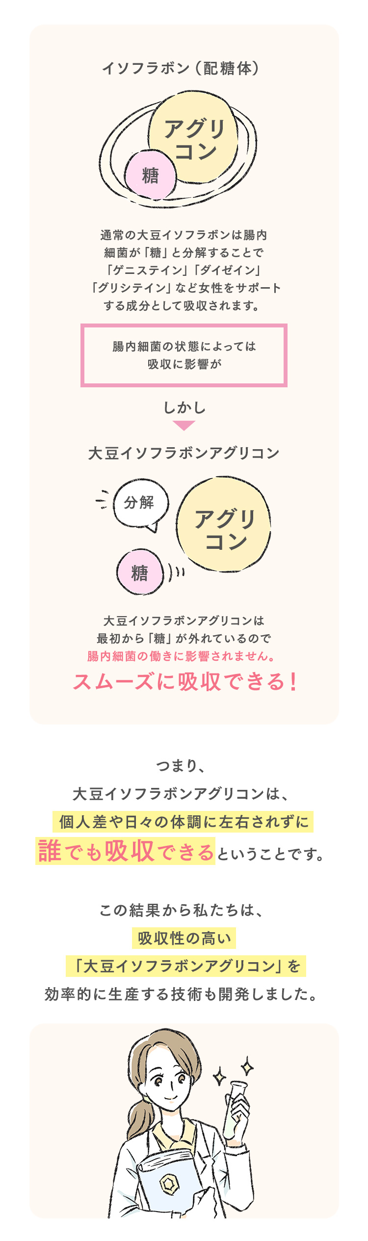 大豆イソフラボンアグリコンの方がスムーズに吸収できる！