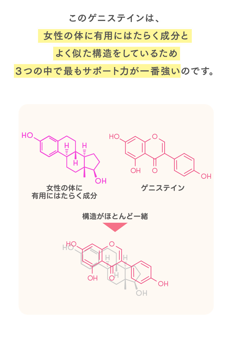 このゲニステインは3つの中で最もサポート力が一番強いのです