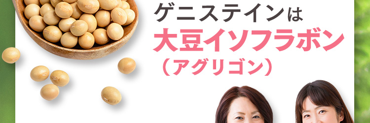 ゲニステインは大豆イソフラボン（アグリゴン）