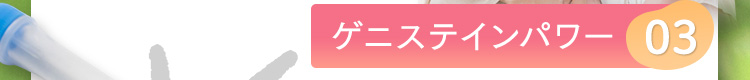 ゲニステインパワー03