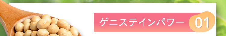 ゲニステインパワー01