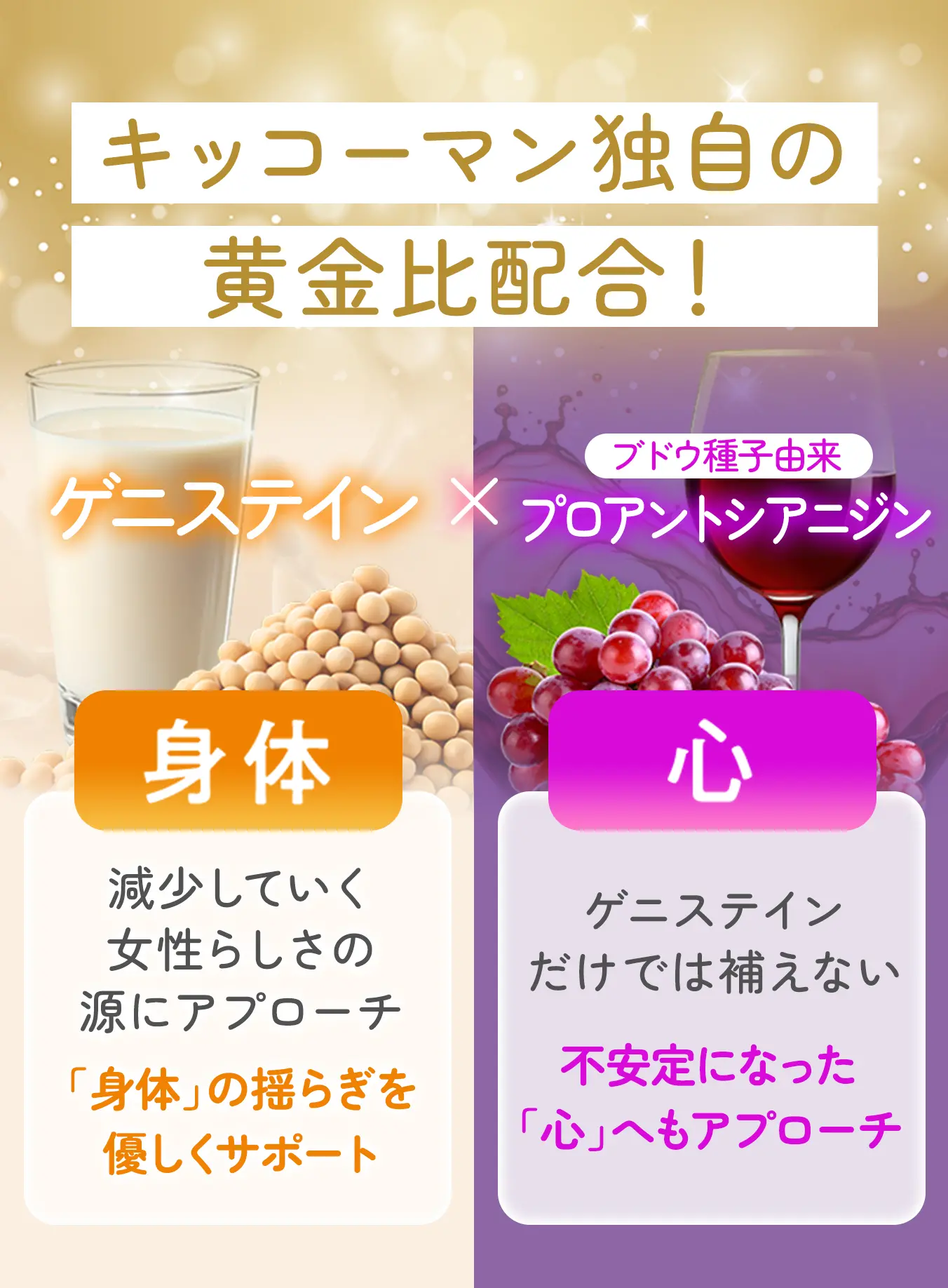 キッコーマン独自の黄金比配列