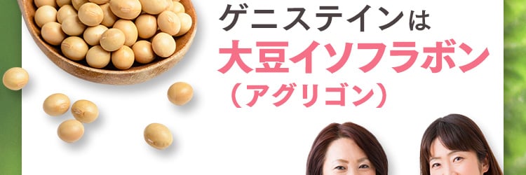 ゲニステインは大豆イソフラボン（アグリゴン）