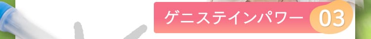 ゲニステインパワー03