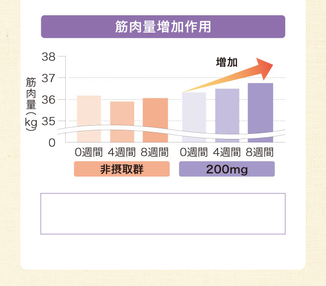 筋肉量増加作用