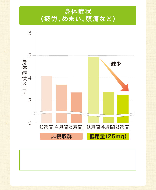 身体症状（疲労、めまい、頭痛など）