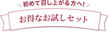 お得なお試しセット