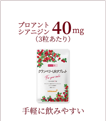 キナ酸・ポリフェノールたっぷり クランベリーURシリーズ