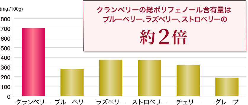 約2倍グラフ