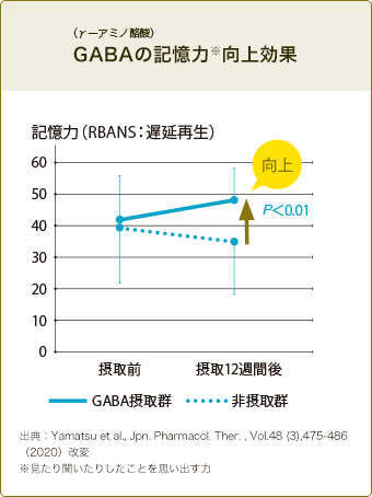 GABAの記憶力※向上効果
