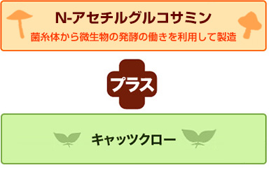 N-アセチルグルコサミン＋キャッツクロー