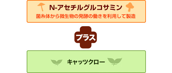 N-アセチルグルコサミン＋キャッツクロー
